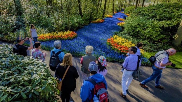 Groepen (>20 personen)