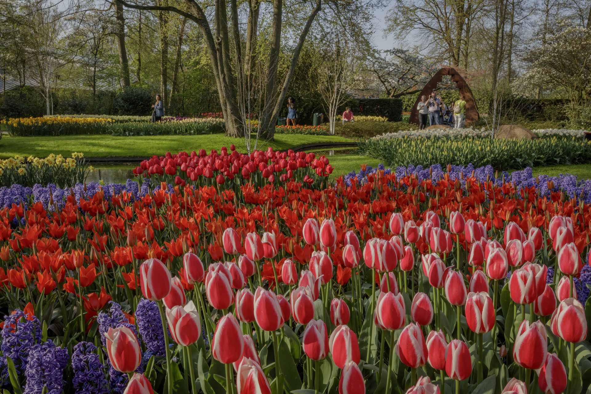 Watch all videos - Keukenhof