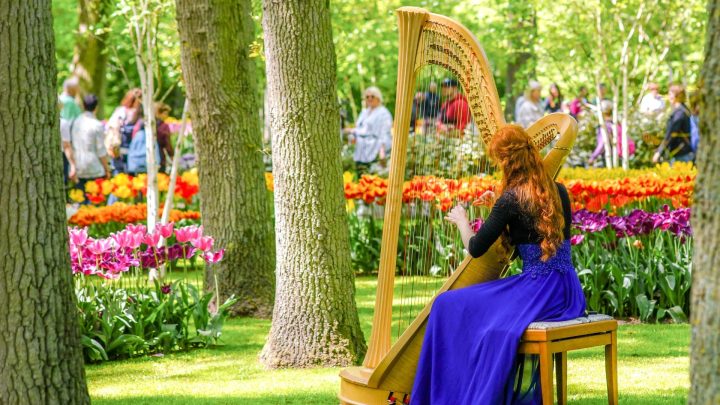 Romantiek in Keukenhof