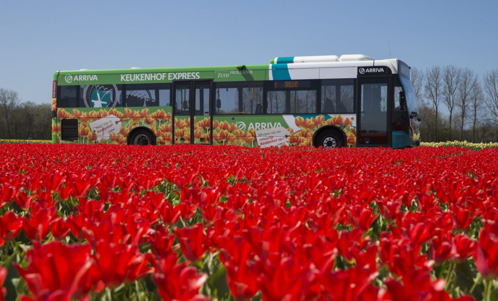 Are you planning on visiting the keukenhof? Everything you need to know