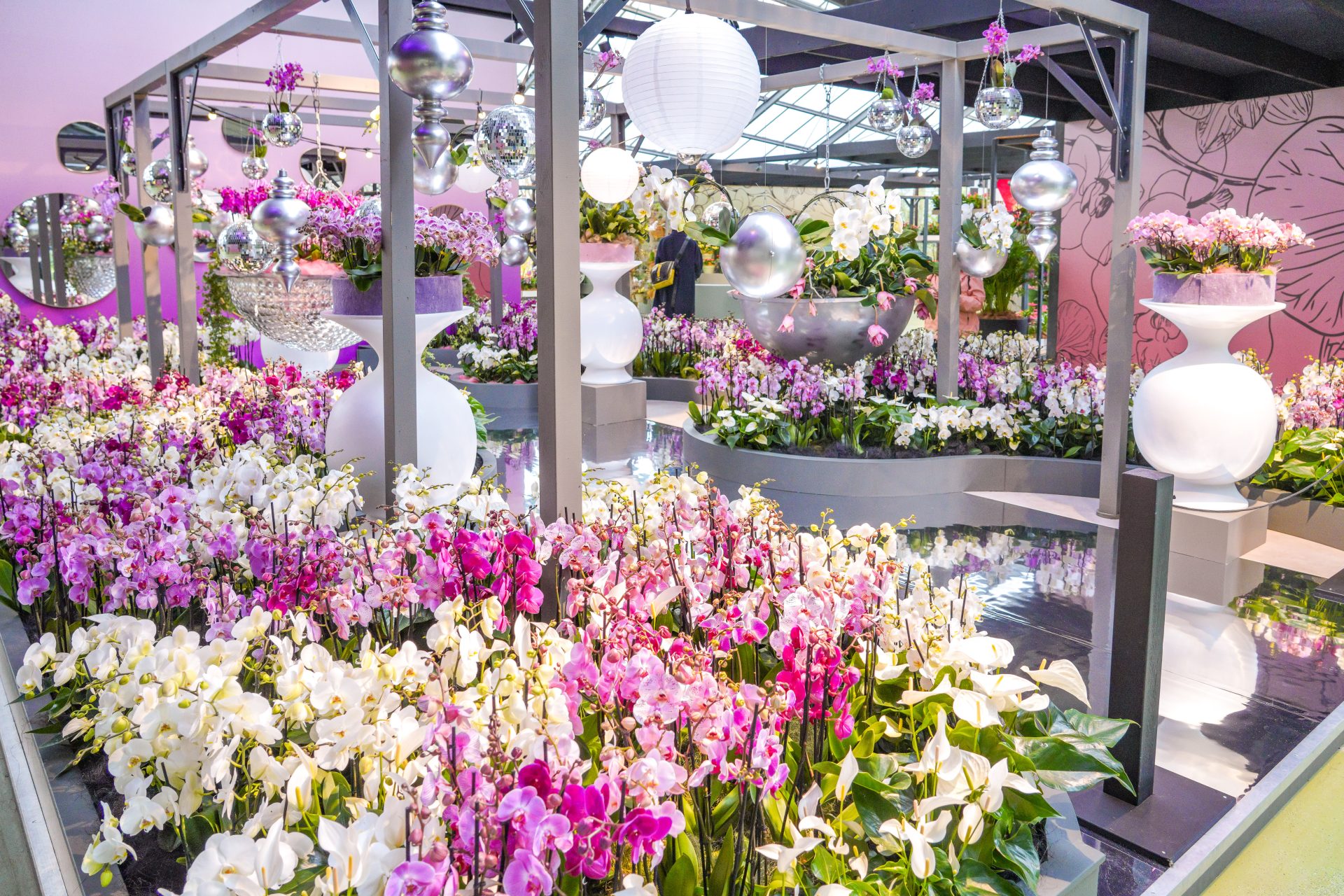 Anthurium and orchid show - Keukenhof
