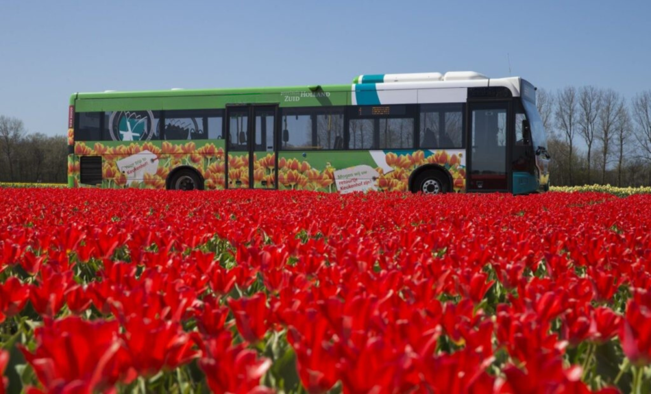 Keukenhof bus