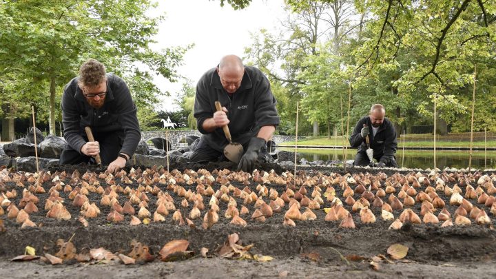 Keukenhof blickt optimistisch in die Saison 2022