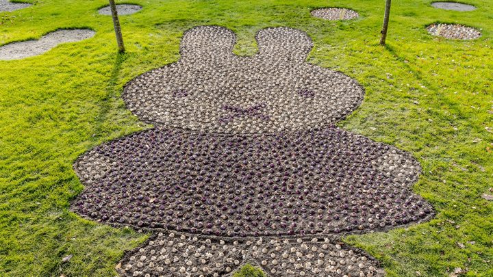 Keukenhof pflanzt miffy Mosaik zur Feier des 65. Geburtstages