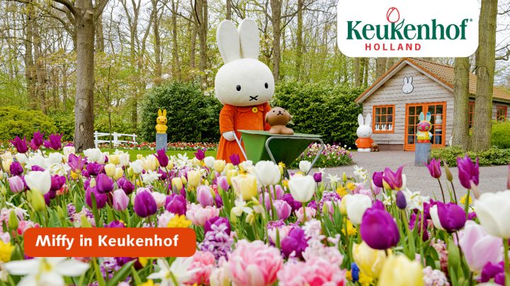 Miffy in Keukenhof!