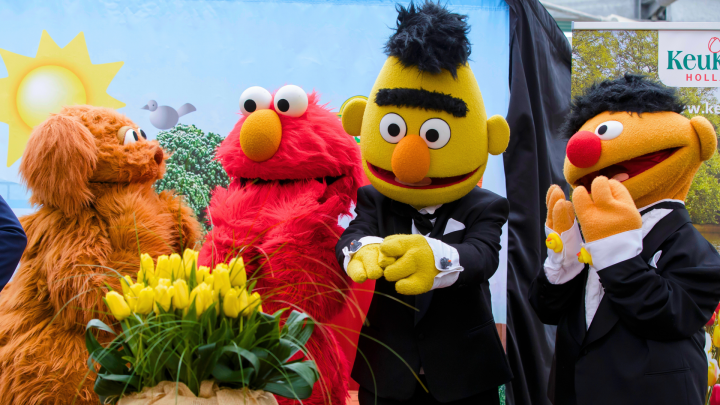 Sesame Street in Keukenhof