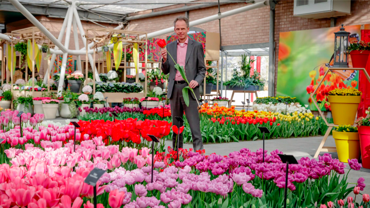 Director Bart Siemerink about the different types of tulips