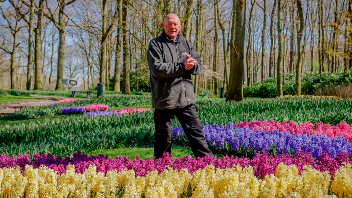 Gardener Owen shows you the hyacinths