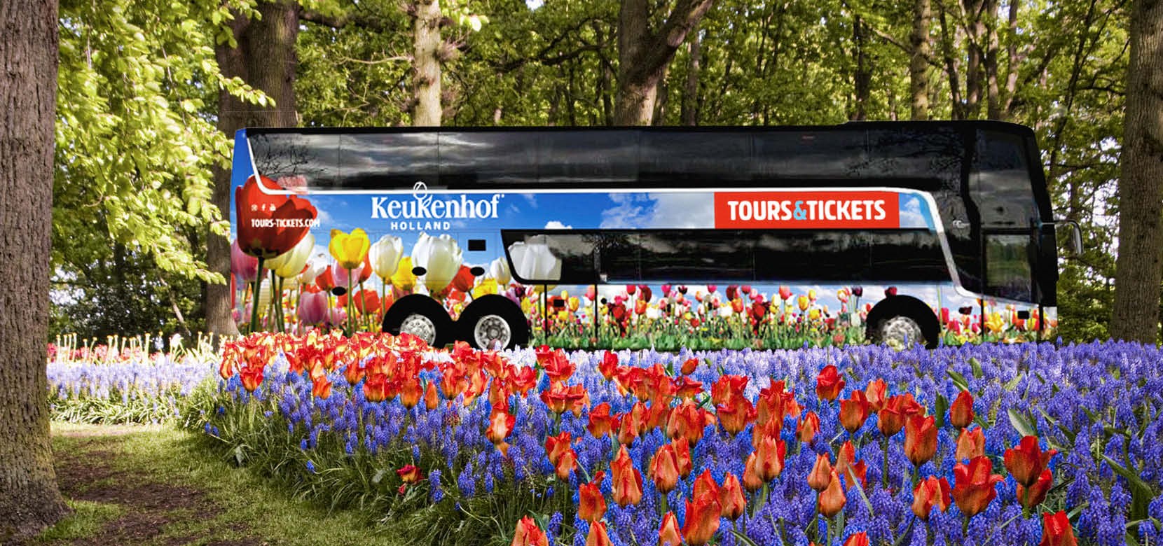 keukenhof guided tour