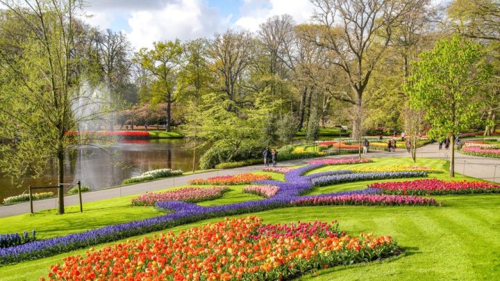 Jardin aux Fleurs de Keukenhof à proximité d'Amsterdam