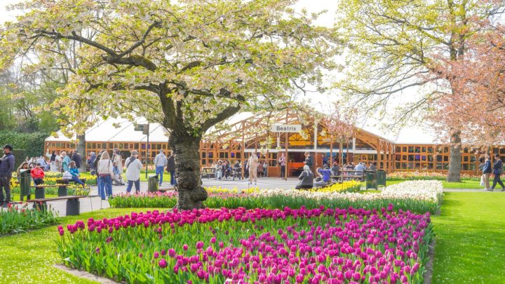 EXCLUSIEF: Dinner Experience in Keukenhof