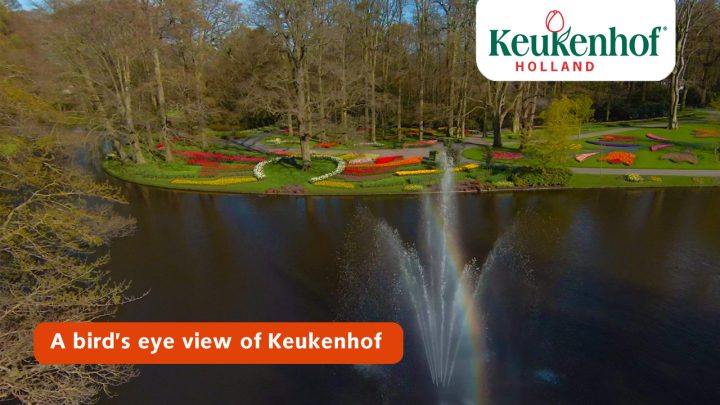 A bird’s eye view of Keukenhof